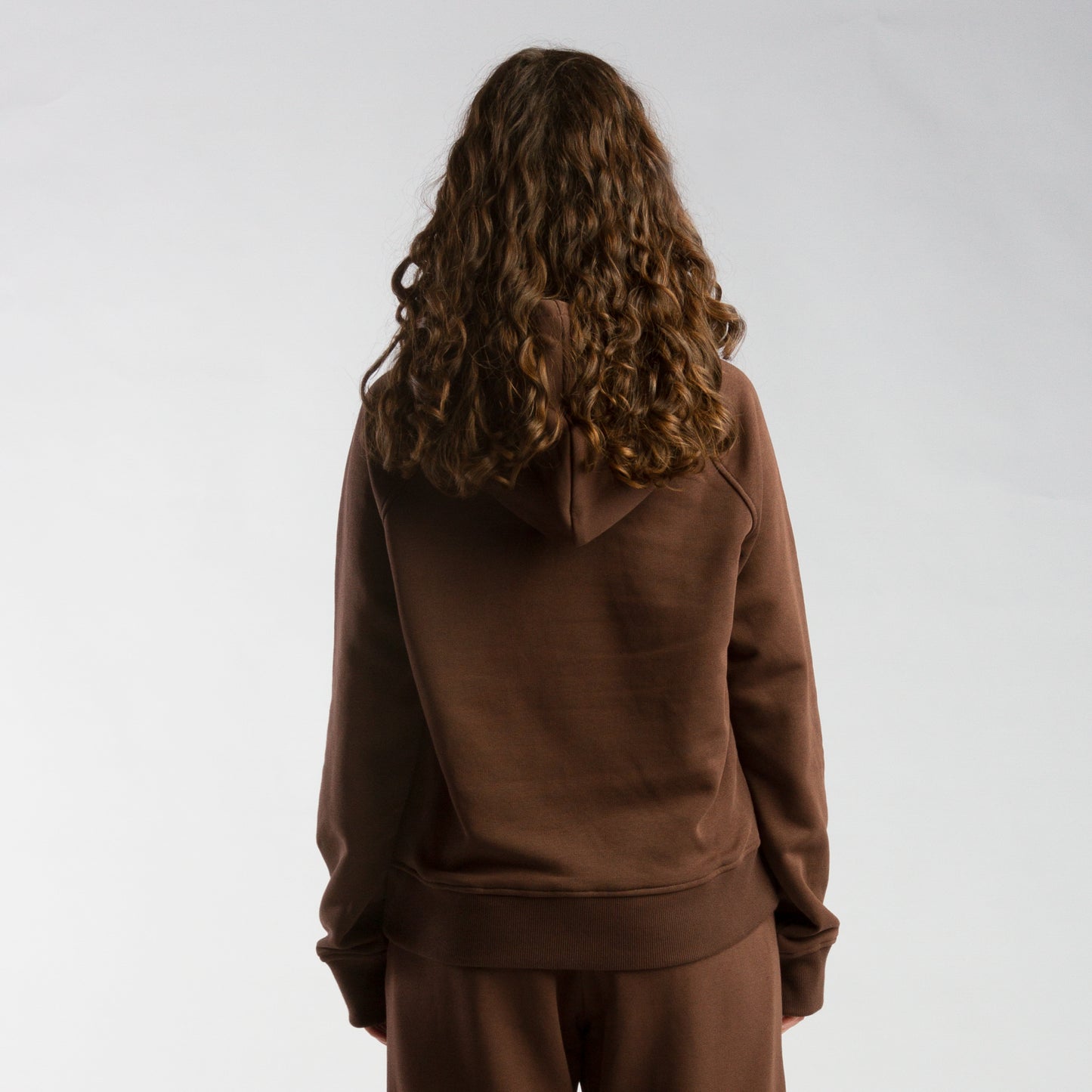 Colossal V2 raglan hoodie brown