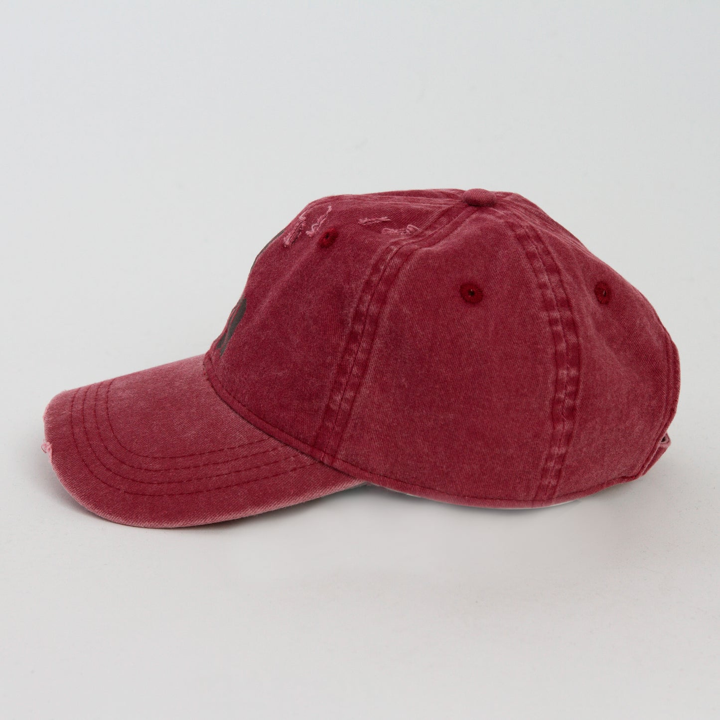 A229 distressed logo cap
